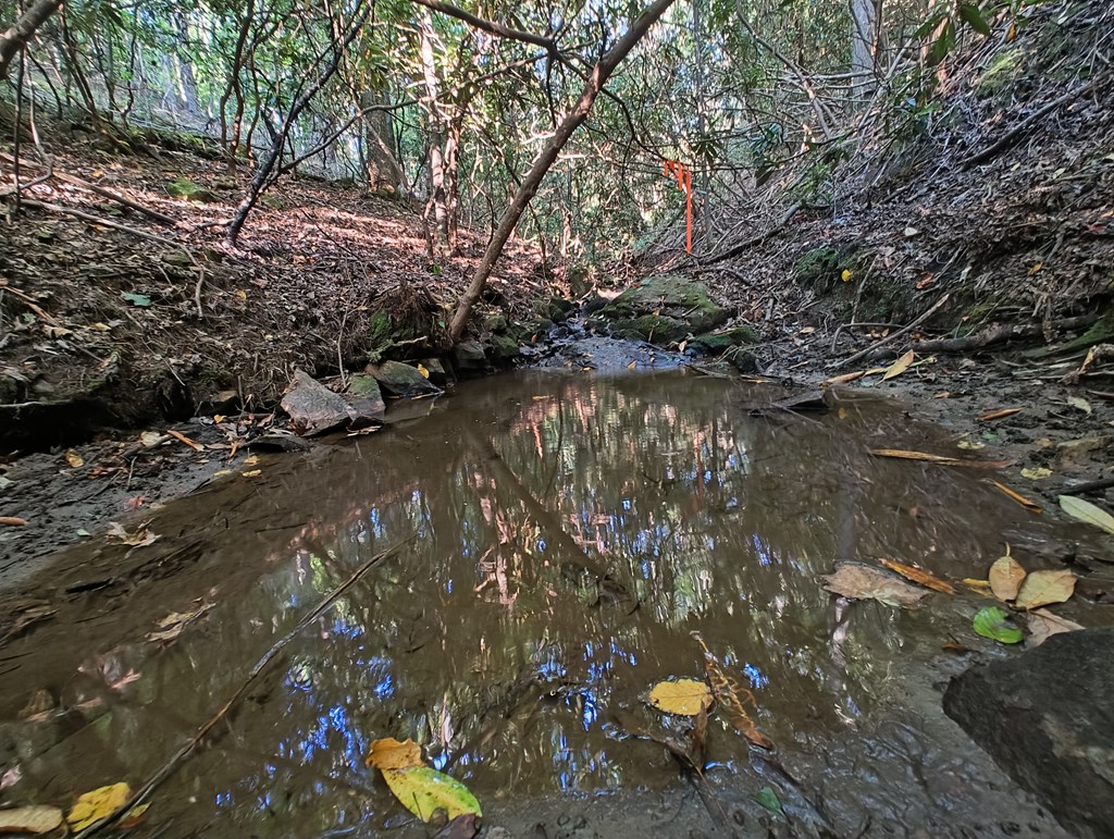13 Reserve Estate Murphy, NC 28906 - Photo 24 of 30 a view of a tree with a tree