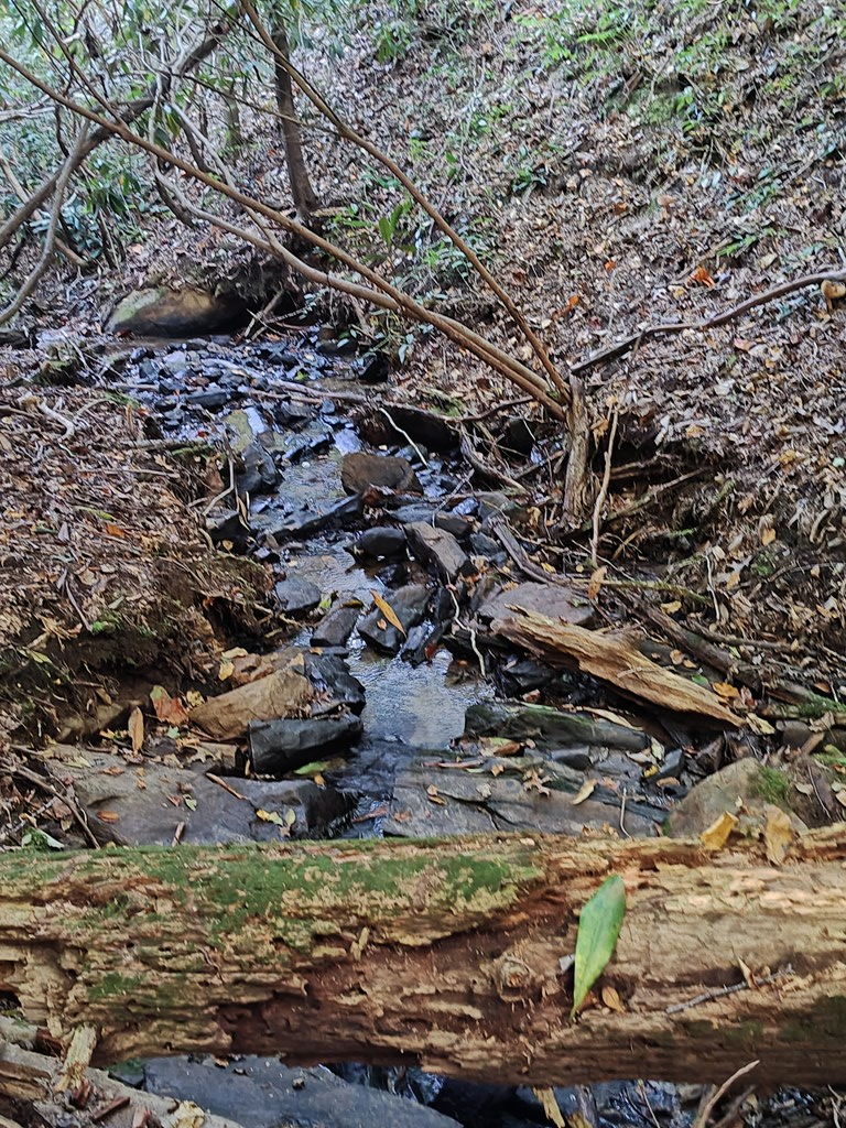13 Reserve Estate Murphy, NC 28906 - Photo 25 of 30 a view of outdoor space