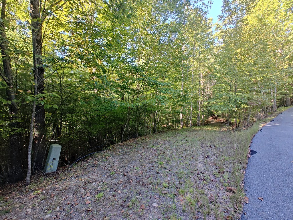 13 Reserve Estate Murphy, NC 28906 - Photo 3 of 30 a view of a forest with trees in the background