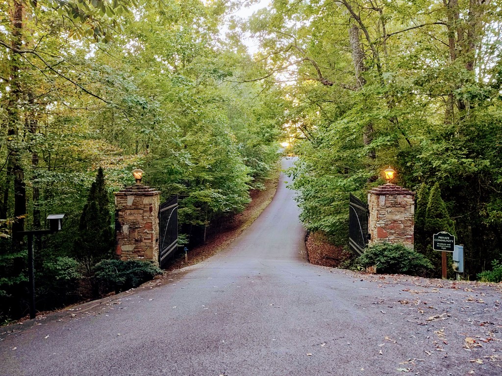 13 Reserve Estate Murphy, NC 28906 - Photo 5 of 30 a view of a plants and trees