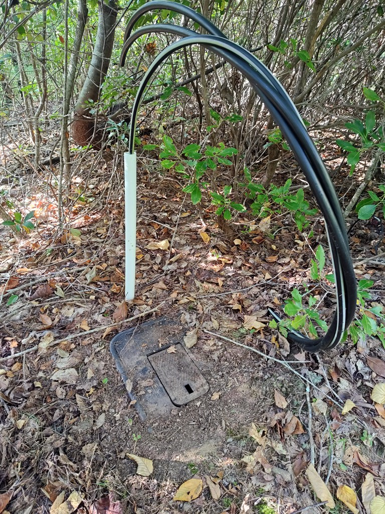 13 Reserve Estate Murphy, NC 28906 - Photo 7 of 30 a view of a garden with a tree