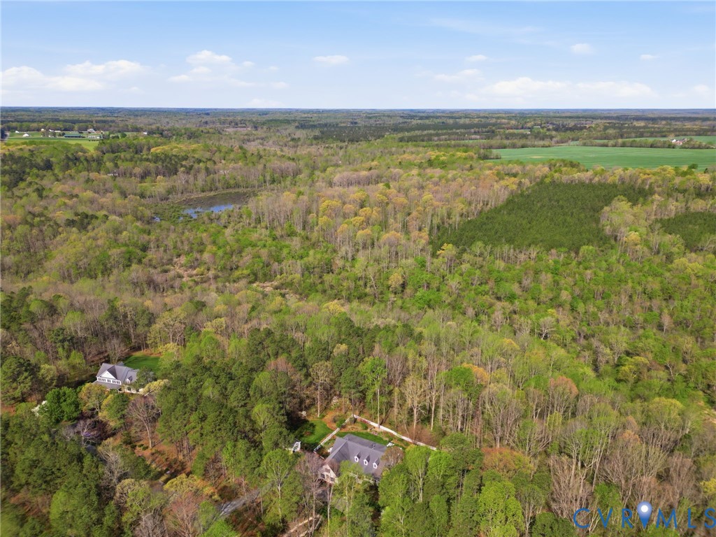 14430 Overlook Ridge Lane Beaverdam, VA 23015 - Photo 2 of 69
