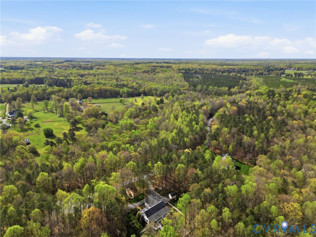 14430 Overlook Ridge Lane Beaverdam, VA 23015 - Photo 4 of 69
