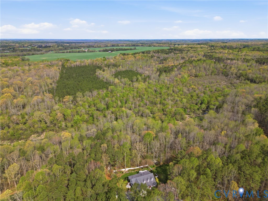 14430 Overlook Ridge Lane Beaverdam, VA 23015 - Photo 60 of 69