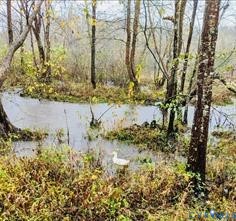 14430 Overlook Ridge Lane Beaverdam, VA 23015 - Photo 61 of 69 Newfound river