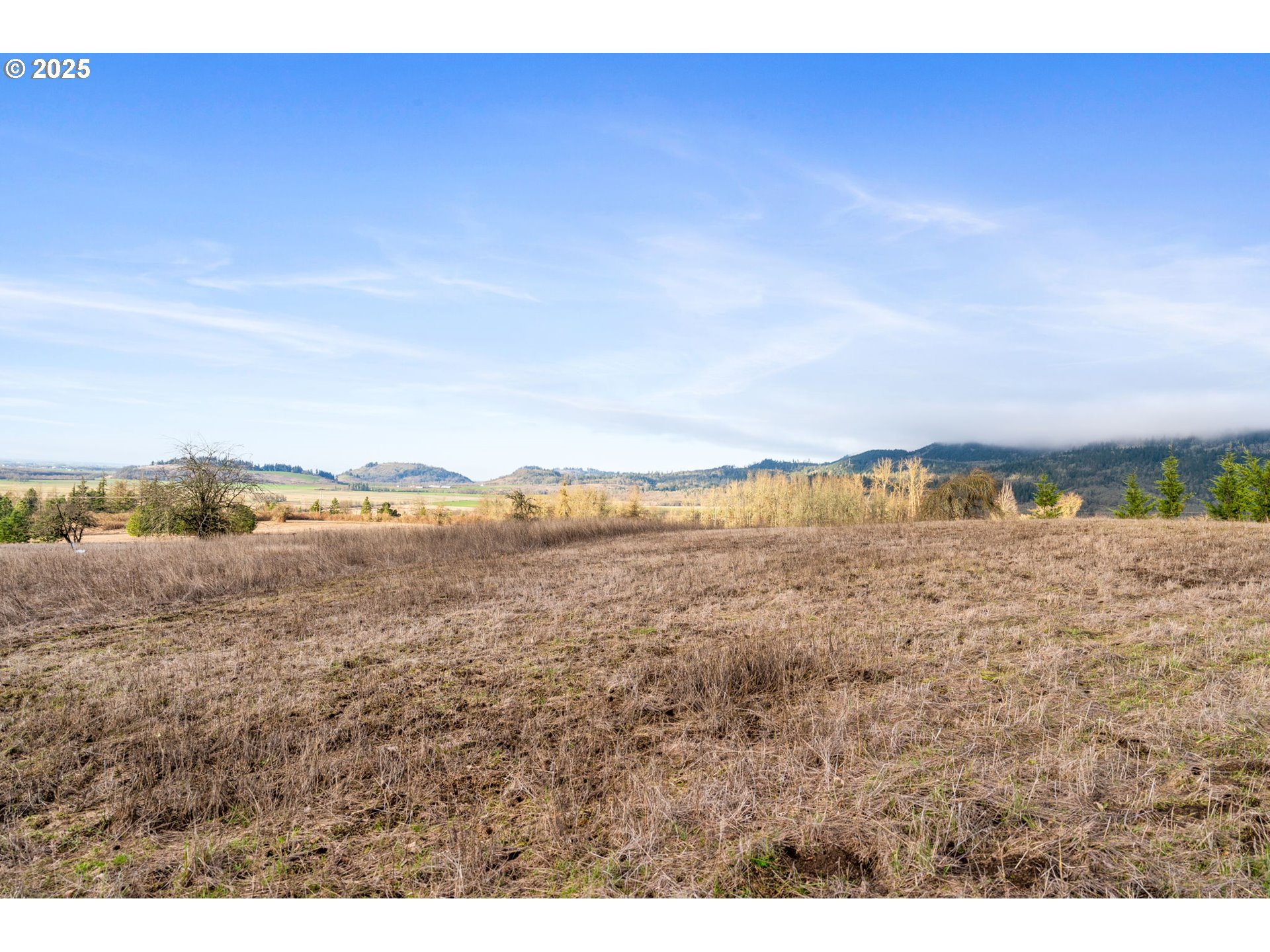 Diamond Ridge Loop Eugene, OR 97408 - Photo 12 of 15