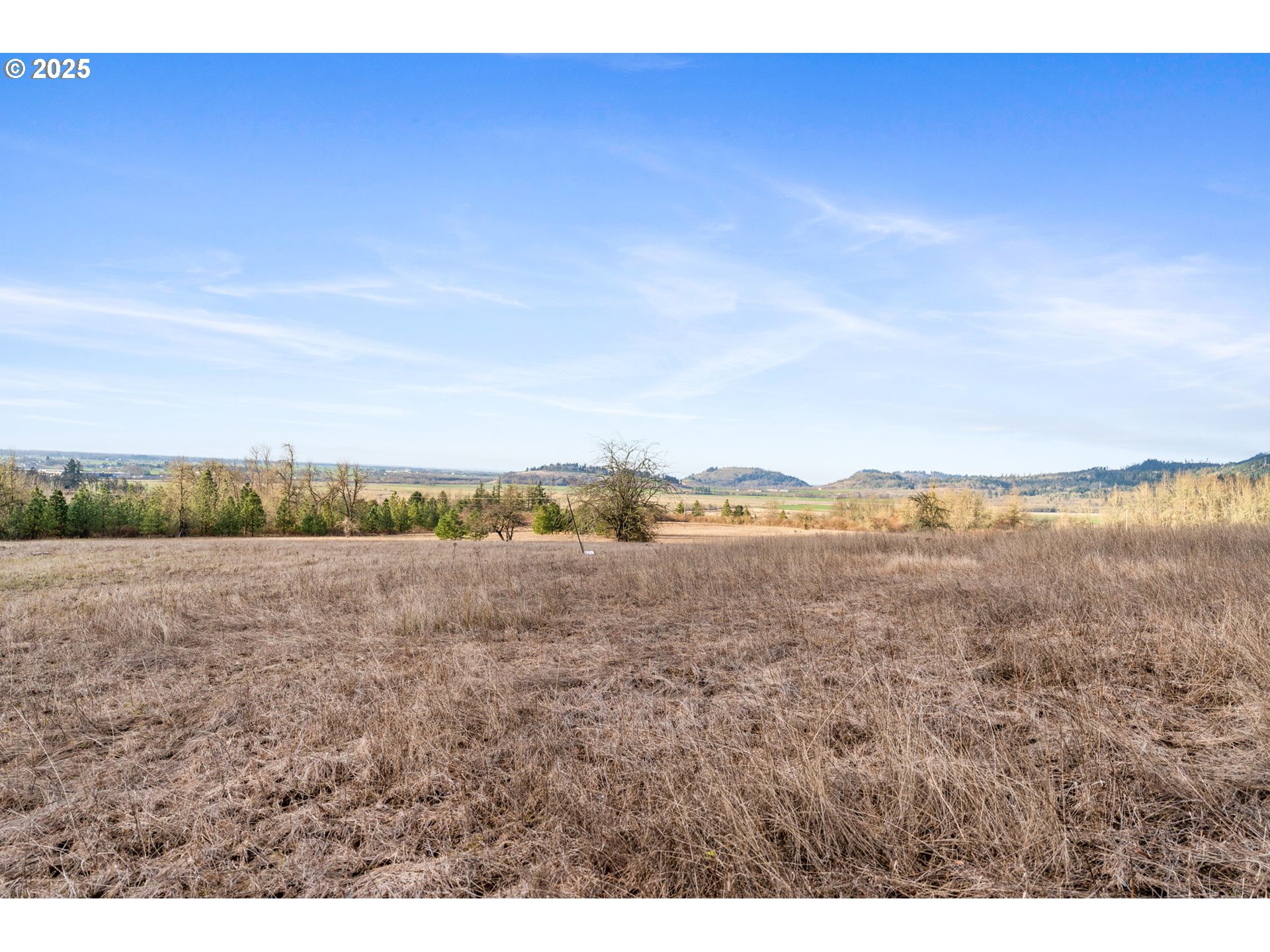 Diamond Ridge Loop Eugene, OR 97408 - Photo 14 of 15