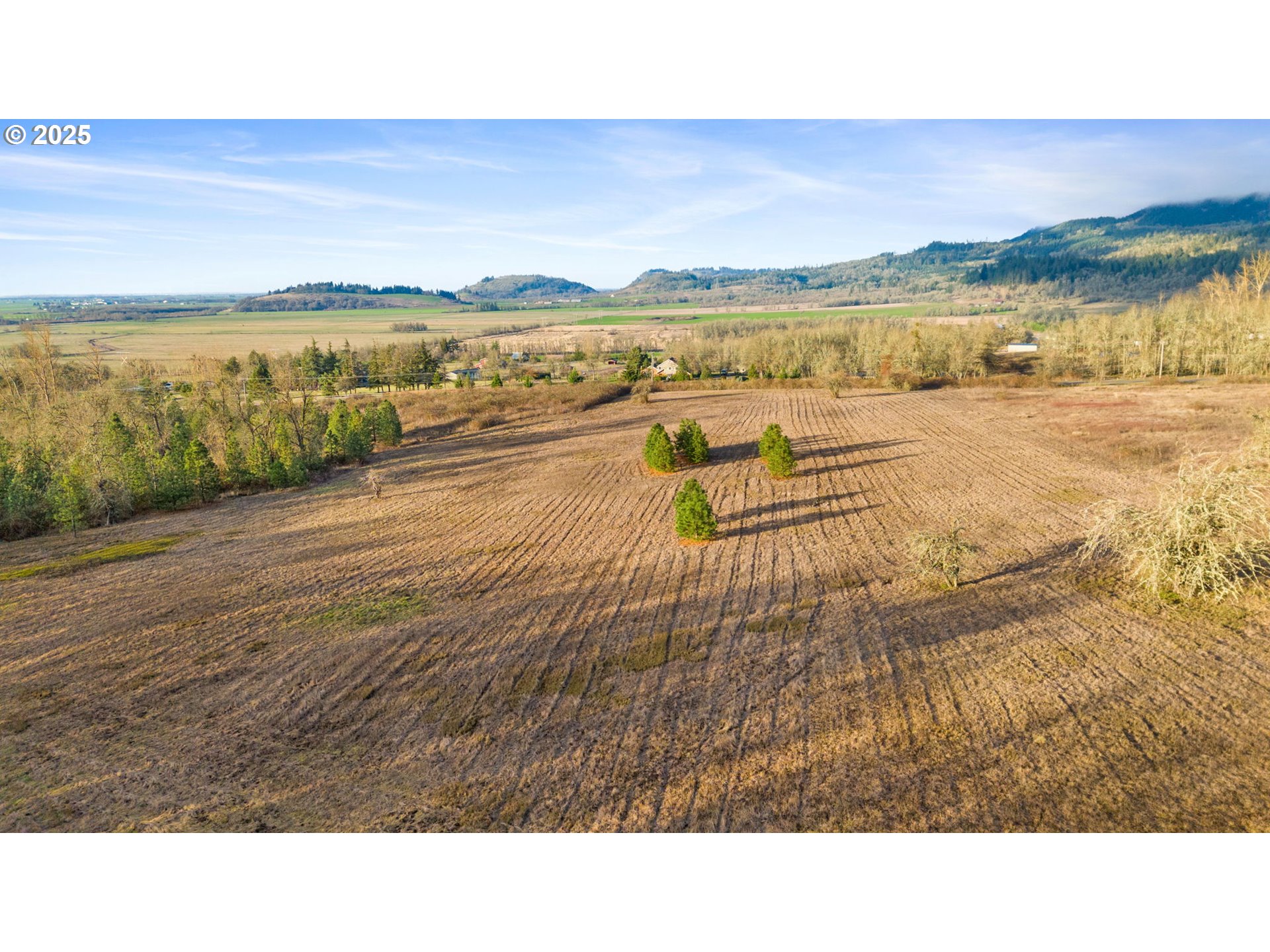 Diamond Ridge Loop Eugene, OR 97408 - Photo 3 of 15