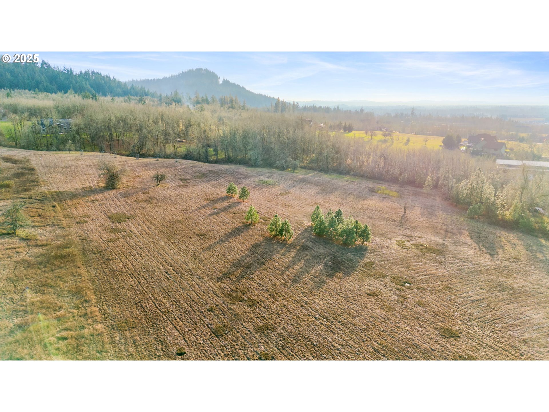 Diamond Ridge Loop Eugene, OR 97408 - Photo 9 of 15