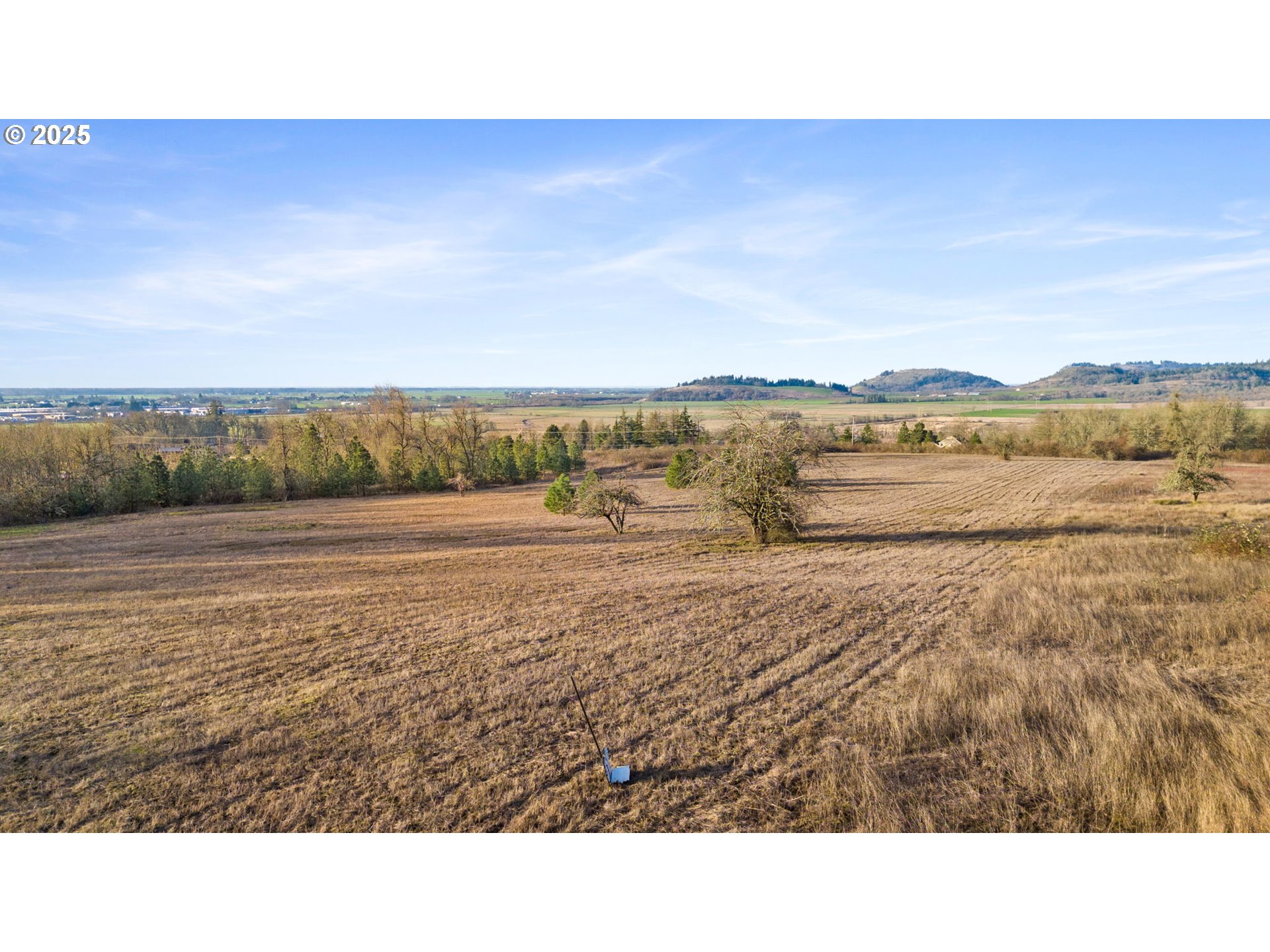 Diamond Ridge Loop Eugene, OR 97408 - Photo 10 of 15
