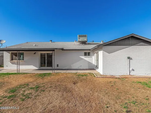 a view of a backyard with potted plants