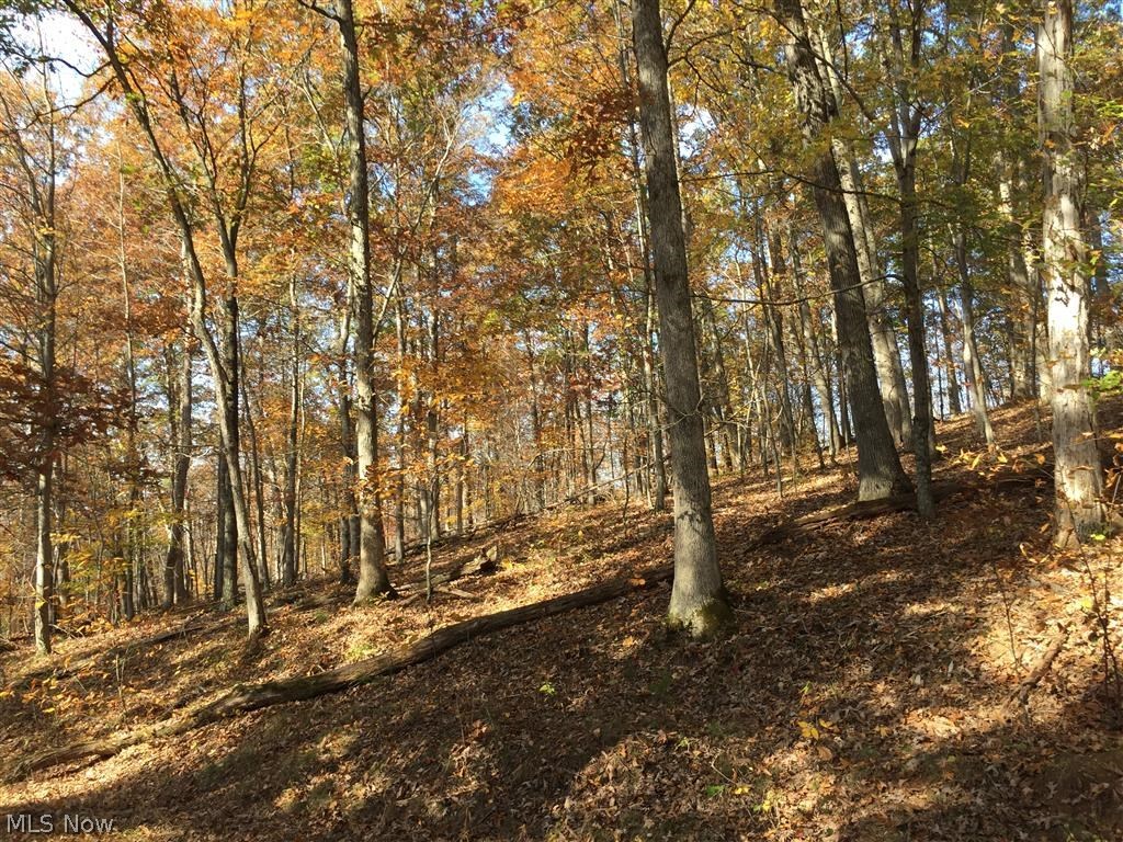 Long Run Cairo, WV 26337 - Photo 7 of 7 Gallery Image 7