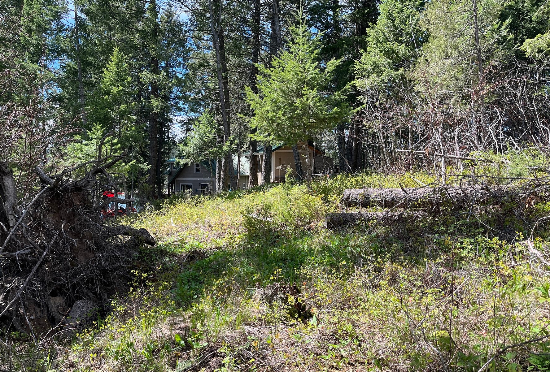 716 Echo Lake Road Bigfork, MT 59911 - Photo 13 of 14 Gallery Image 13