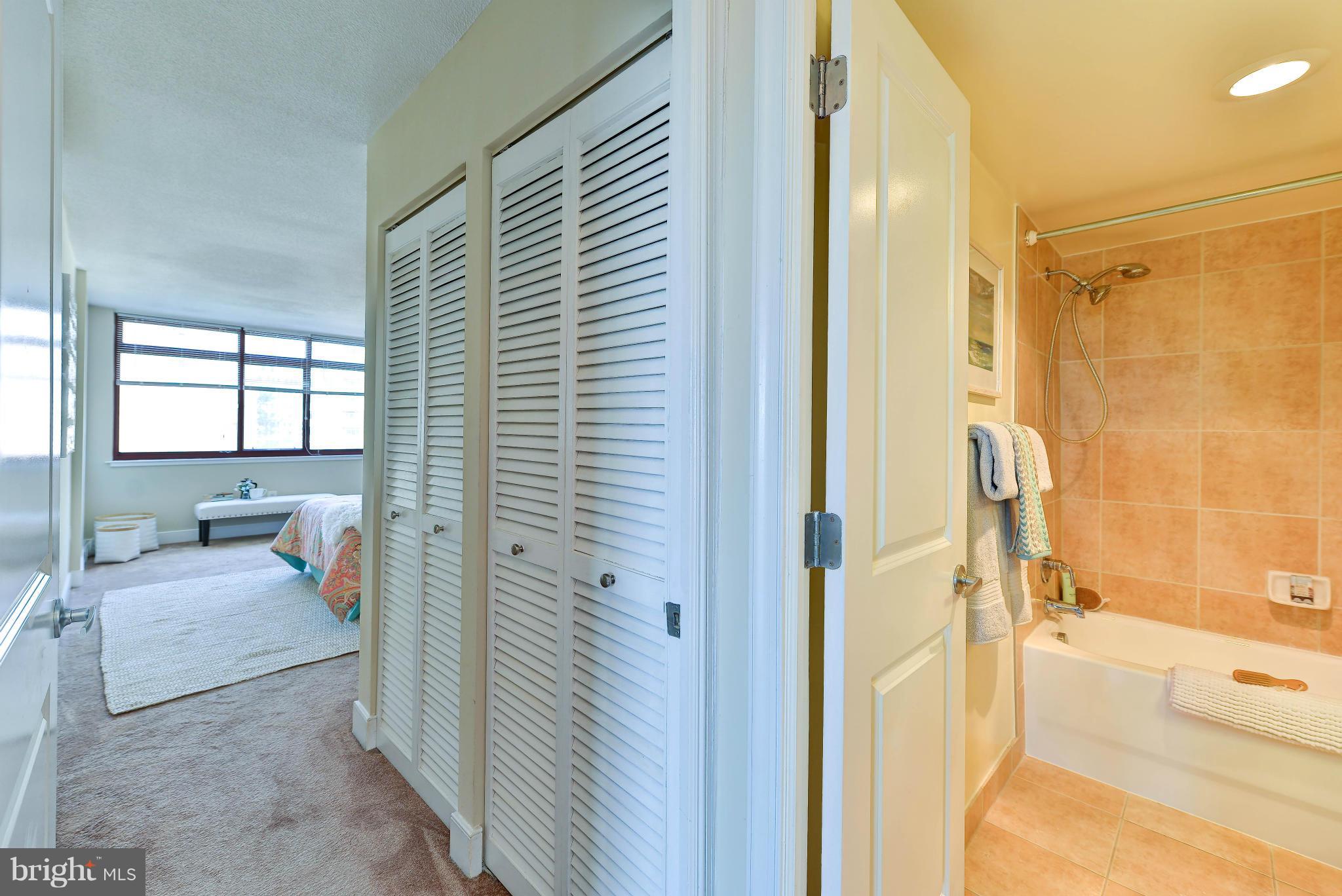 1220 Blair Mill Road, Unit 704 Silver Spring, MD 20910 - Photo 13 of 30 Entry to Master Bedroom