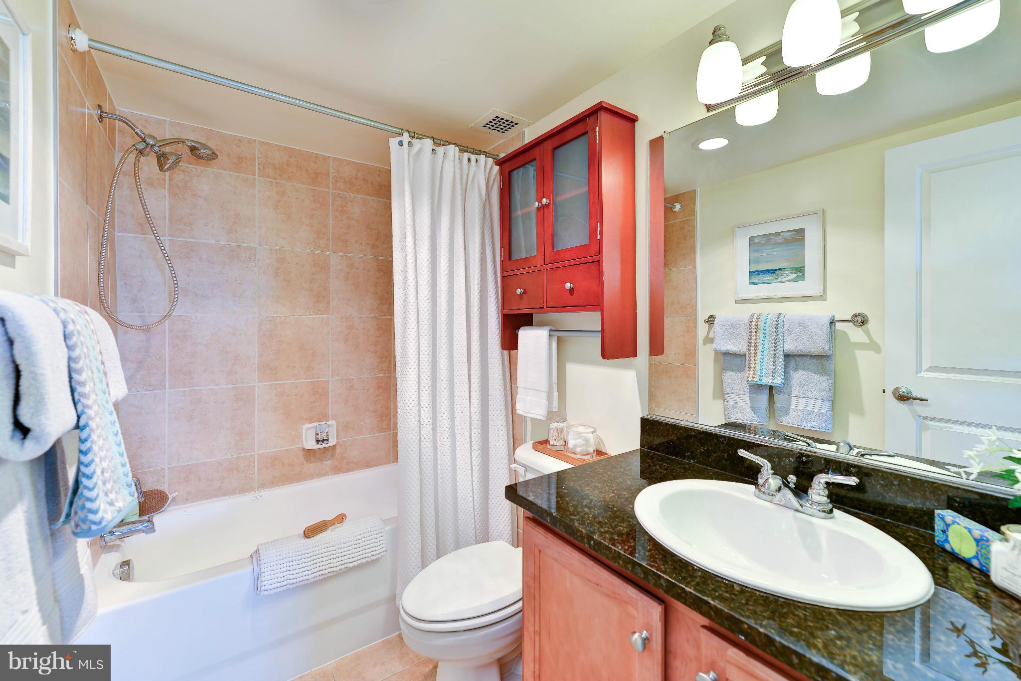 1220 Blair Mill Road, Unit 704 Silver Spring, MD 20910 - Photo 17 of 30 Very Nicely Appointed Full Bath