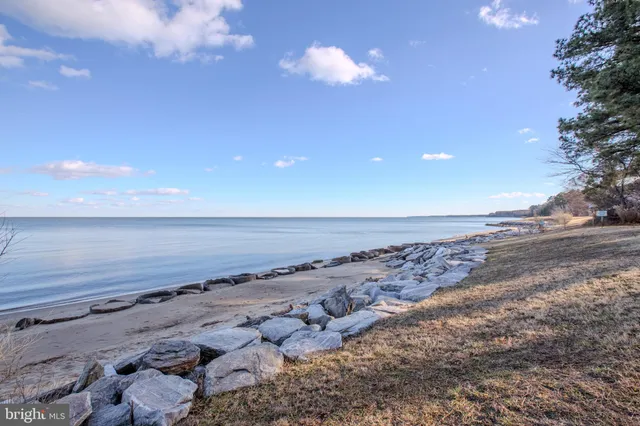 a view of a dry yard with wooden fence
