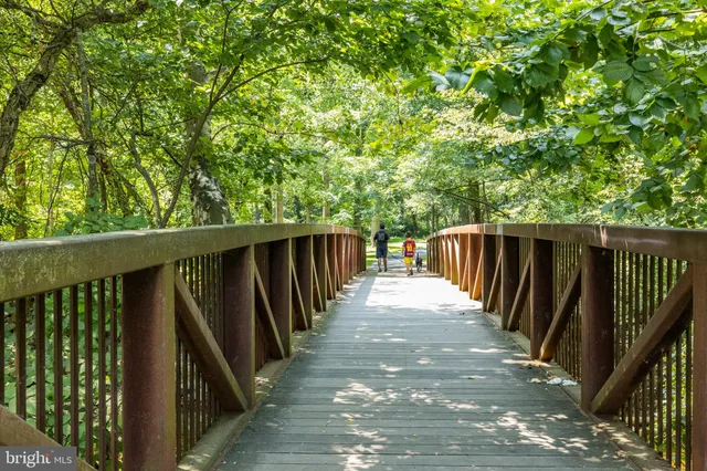 a view of a yard with plants and large trees