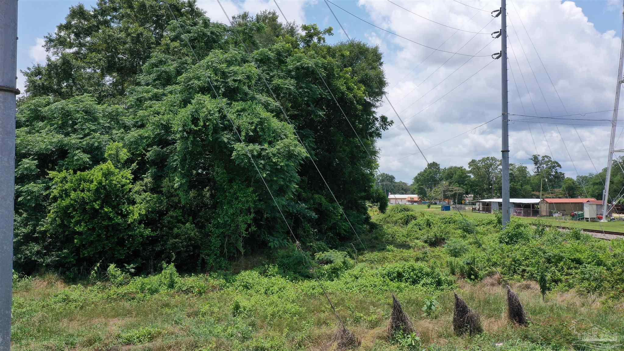 0 Commerce Street Frisco City, AL 36445 - Photo 11 of 14