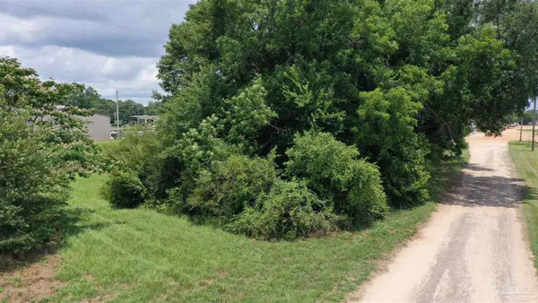 $15,000 | 0 Commerce Street, Frisco City, AL 36445