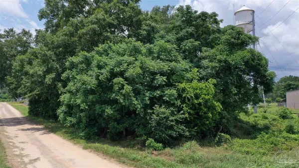 $15,000 | 0 Commerce Street, Frisco City, AL 36445