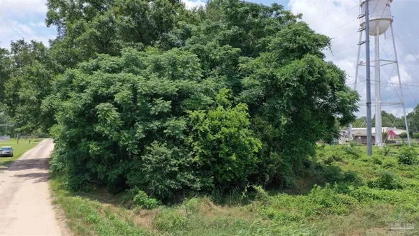 $15,000 | 0 Commerce Street, Frisco City, AL 36445