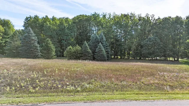 $8,500 | 7256 Ryans Run, Stanwood, MI 49346