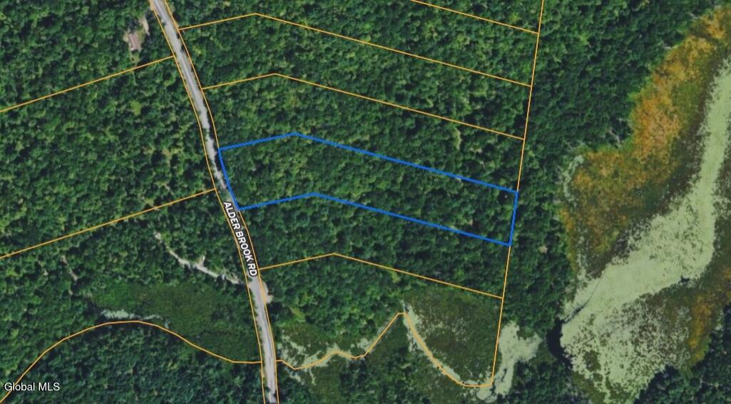 L46 Alder Brook Road Brant Lake, NY 12815 - Photo 15 of 15 Screenshot_19-5-2026_22812_id.land