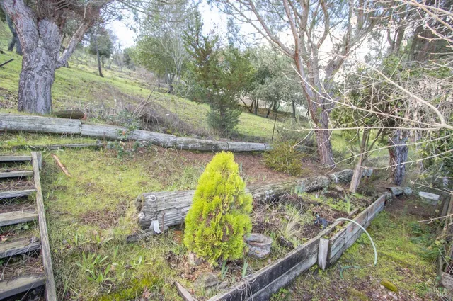 a view of a backyard with plants