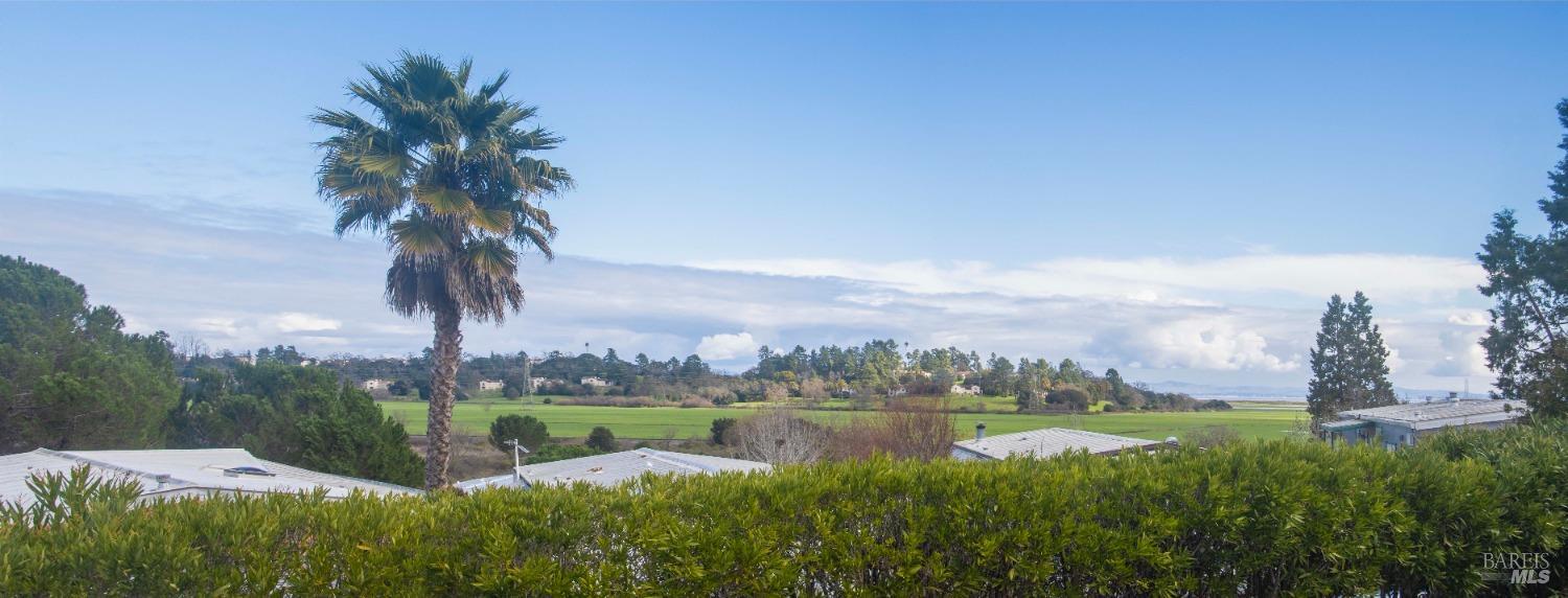 10 Fallen Leaf Way Novato, CA 94949 - Photo 4 of 30 a view of a lake with houses in the back