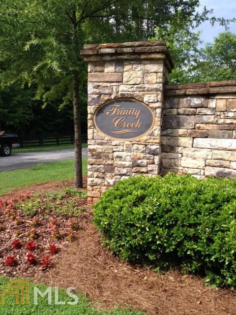 307 Trinity Overlook Canton, GA 30115 - Photo 1 of 1 Gallery Image 1
