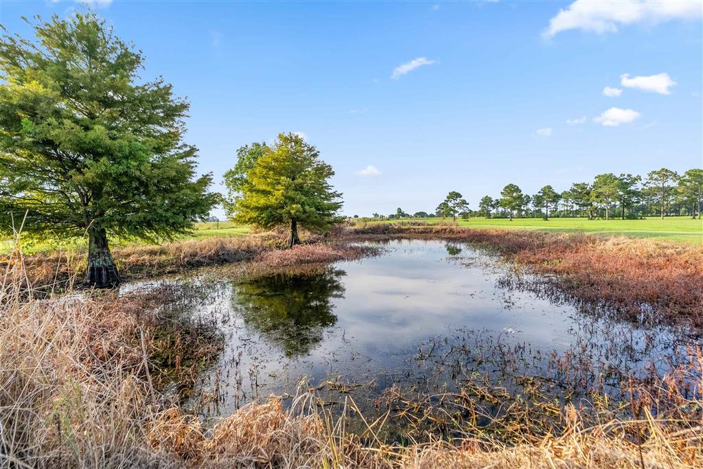 9295 Lognion Road Iowa, LA 70647 - Photo 38 of 54