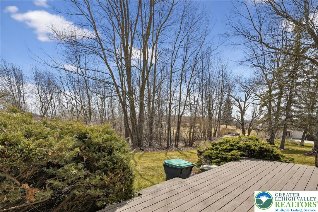 650 Chapman Lake Road Scott Township, PA 18433 - Photo 49 of 52 a view of a backyard with plants