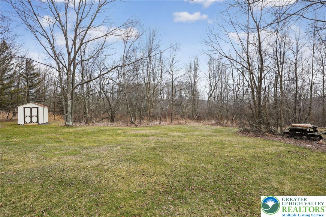 650 Chapman Lake Road Scott Township, PA 18433 - Photo 50 of 52 a view of a big yard with trees