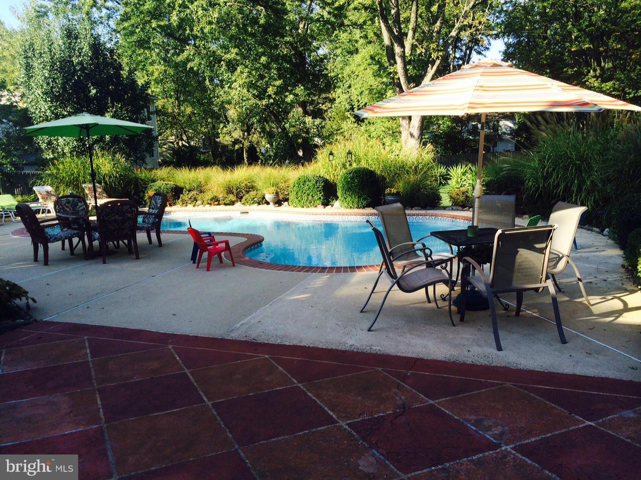 8931 Fort Hunt Road Alexandria, VA 22308 - Photo 21 of 30 Pool