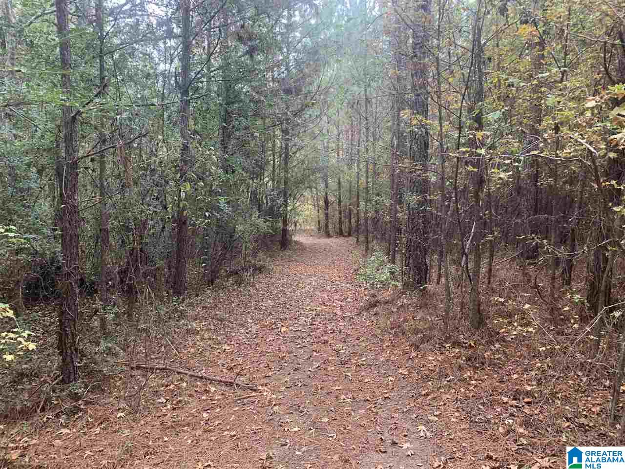 0 Homestead Drive, Unit 1 Springville, AL 35146 - Photo 2 of 32
