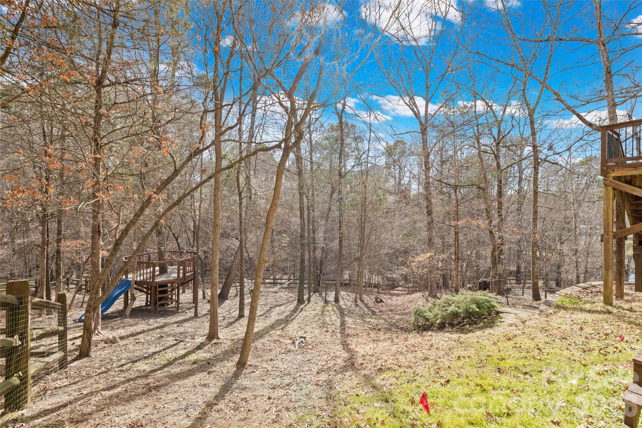 12039 Spinnaker Drive Tega Cay, SC 29708 - Photo 45 of 48 a view of a backyard of the house