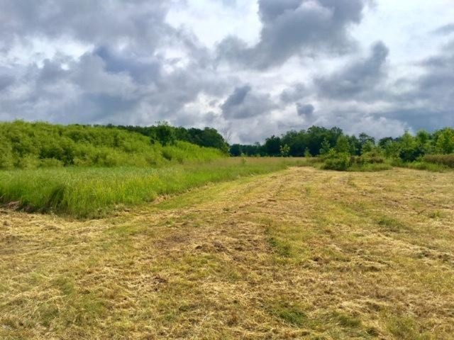 0 Brickyard Road Twin Lake, MI 49457 - Photo 13 of 37 42