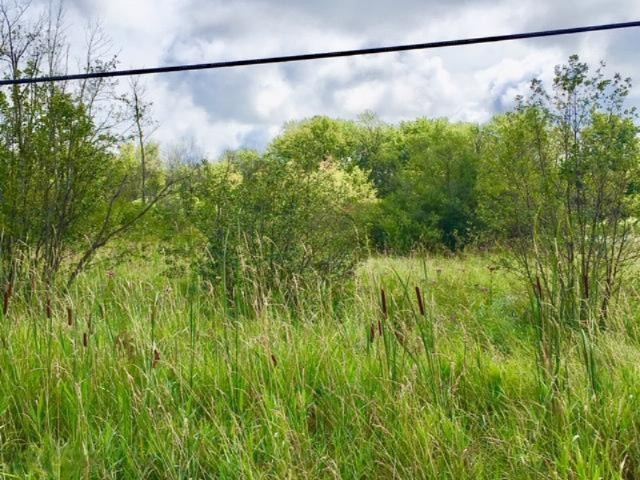 0 Brickyard Road Twin Lake, MI 49457 - Photo 17 of 37 28