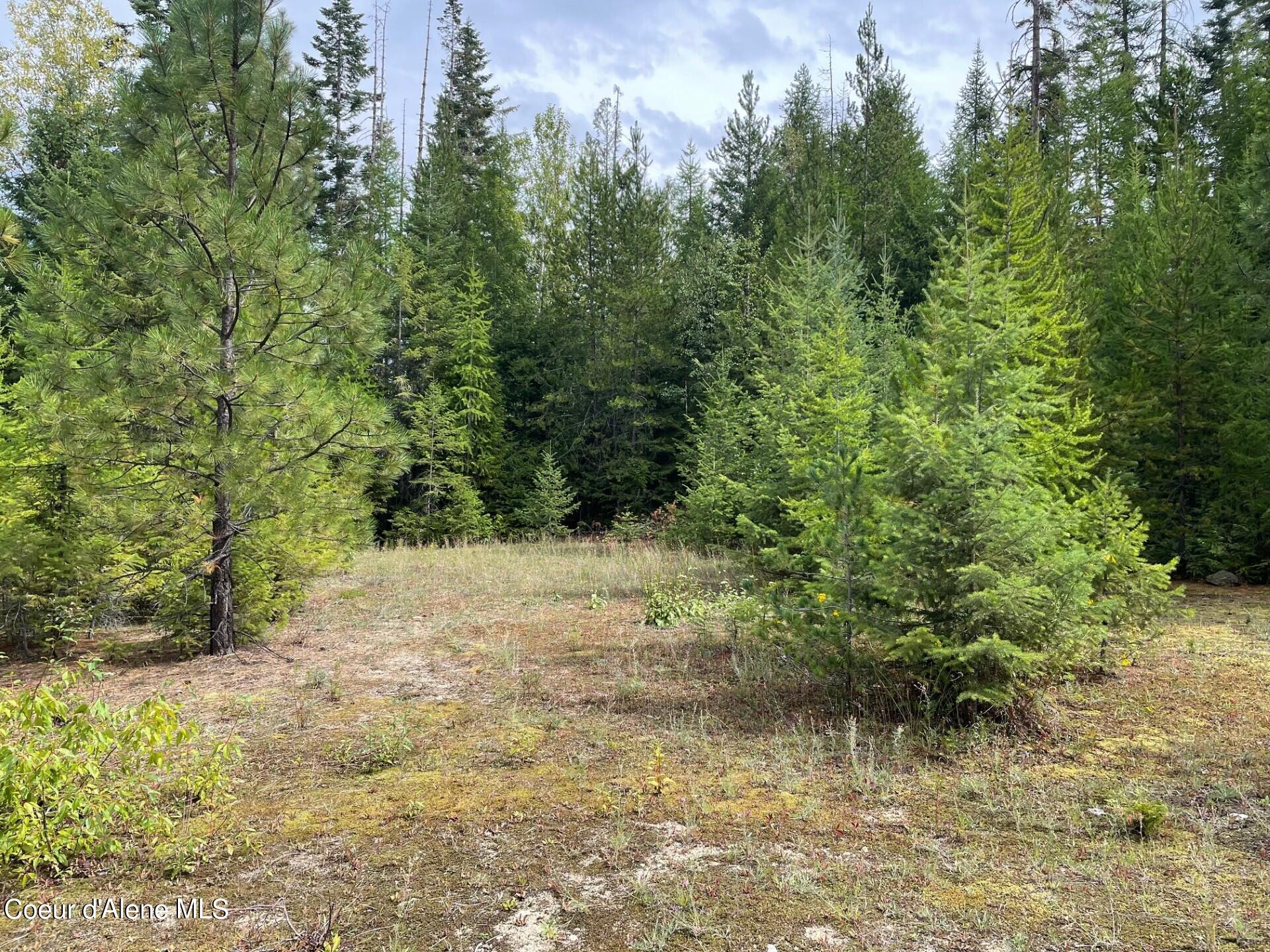 Nka 20-ac Schneiders Road Sagle, ID 83860 - Photo 8 of 50 Upper Build site 3