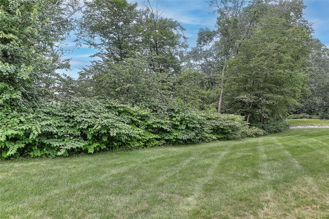 500 Mendon Road, Unit 423 Cumberland, RI 02864 - Photo 14 of 41 Backyard