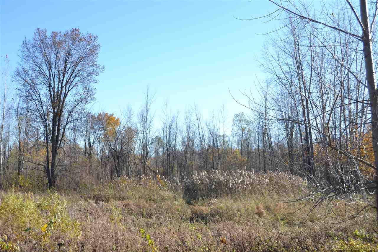 0 South Curry Road Caro, MI 48741 - Photo 2 of 6