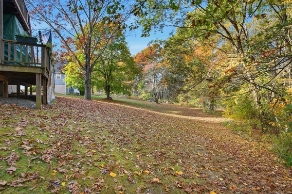 a view of road and trees