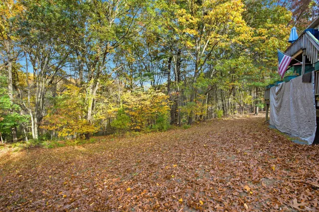 a view of backyard with green space