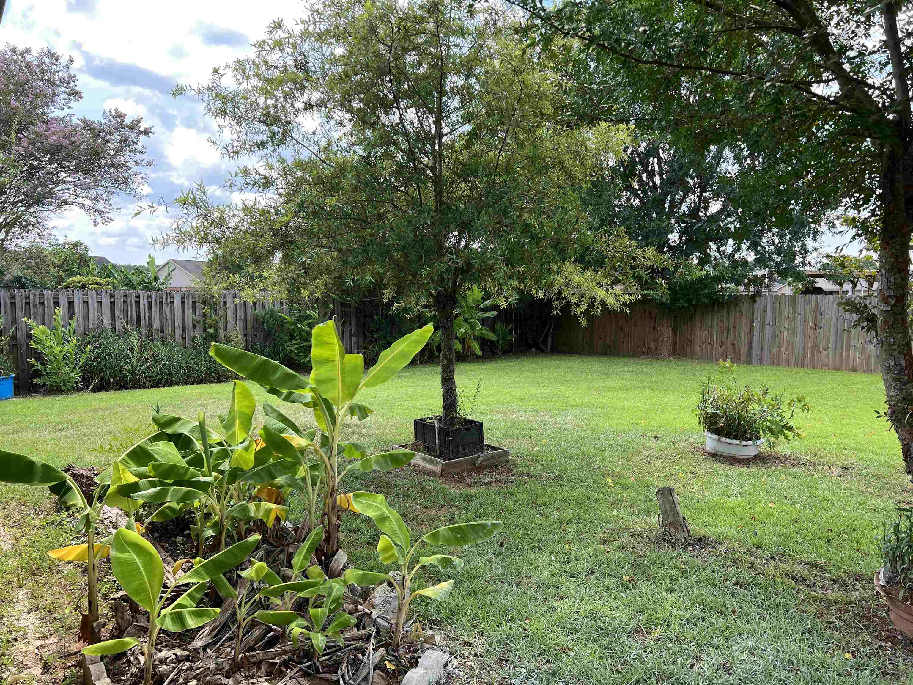 18165 Memphis Way Robertsdale, AL 36567 - Photo 8 of 21