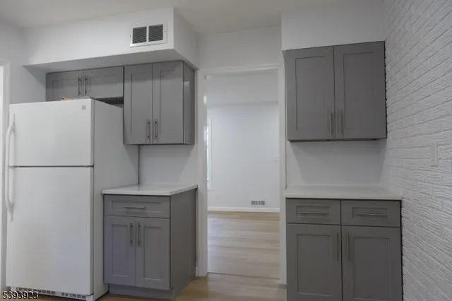 a view of a park with plants and trees