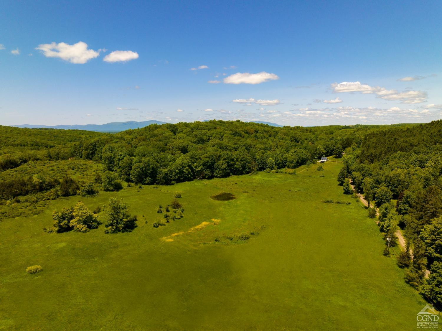 0 Rowe Road Milan, NY 12571 - Photo 2 of 4 Photo 2