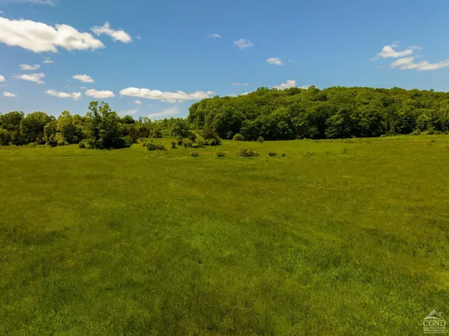 a view of a lush green space