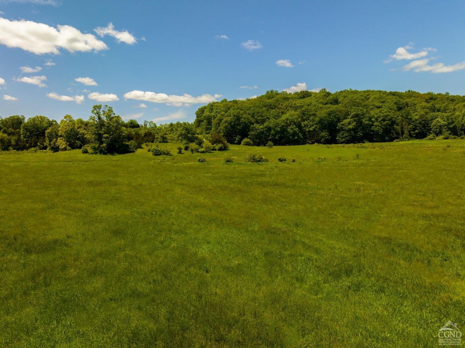 0 Rowe Road Milan, NY 12571 - Photo 3 of 4 Photo 3