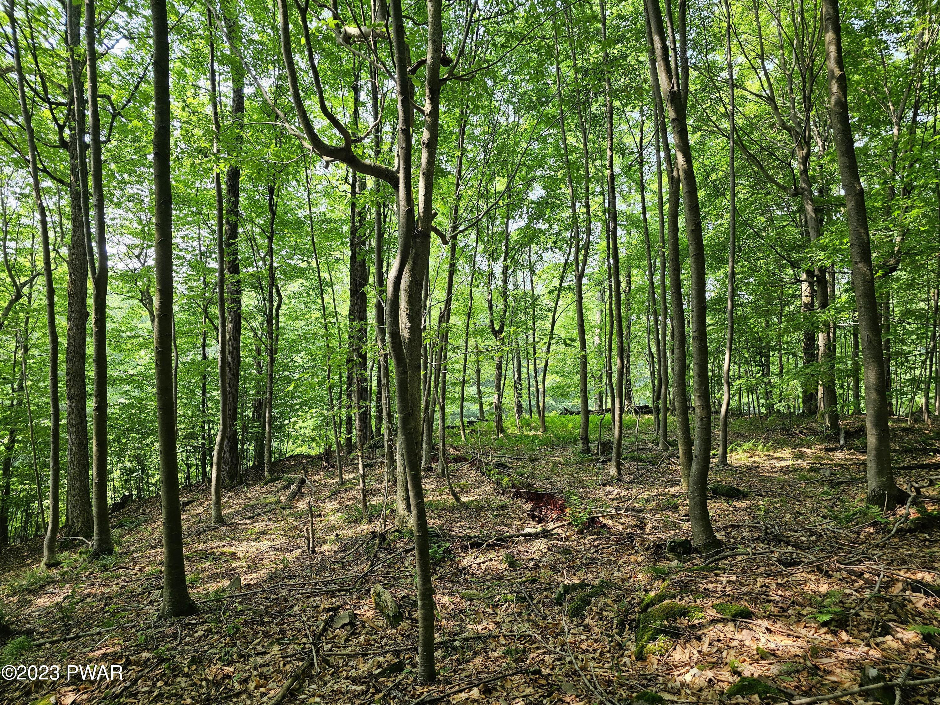 Lot 61 Rock Run Road Damascus, PA 18415 - Photo 15 of 56