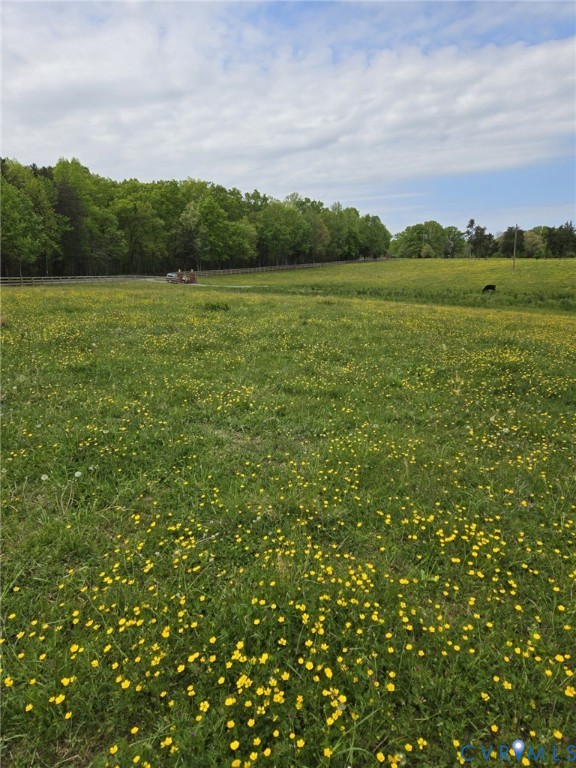 0 Perkinsville Road Maidens, VA 23102 - Photo 23 of 31